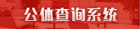 公体查询系统